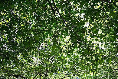 《消逝的光芒2》DLC将避免公式化 开发者希望给予玩家惊喜